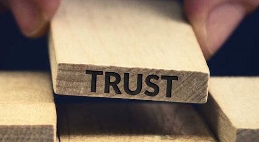How To Gain The Trust Of Potential Investors?